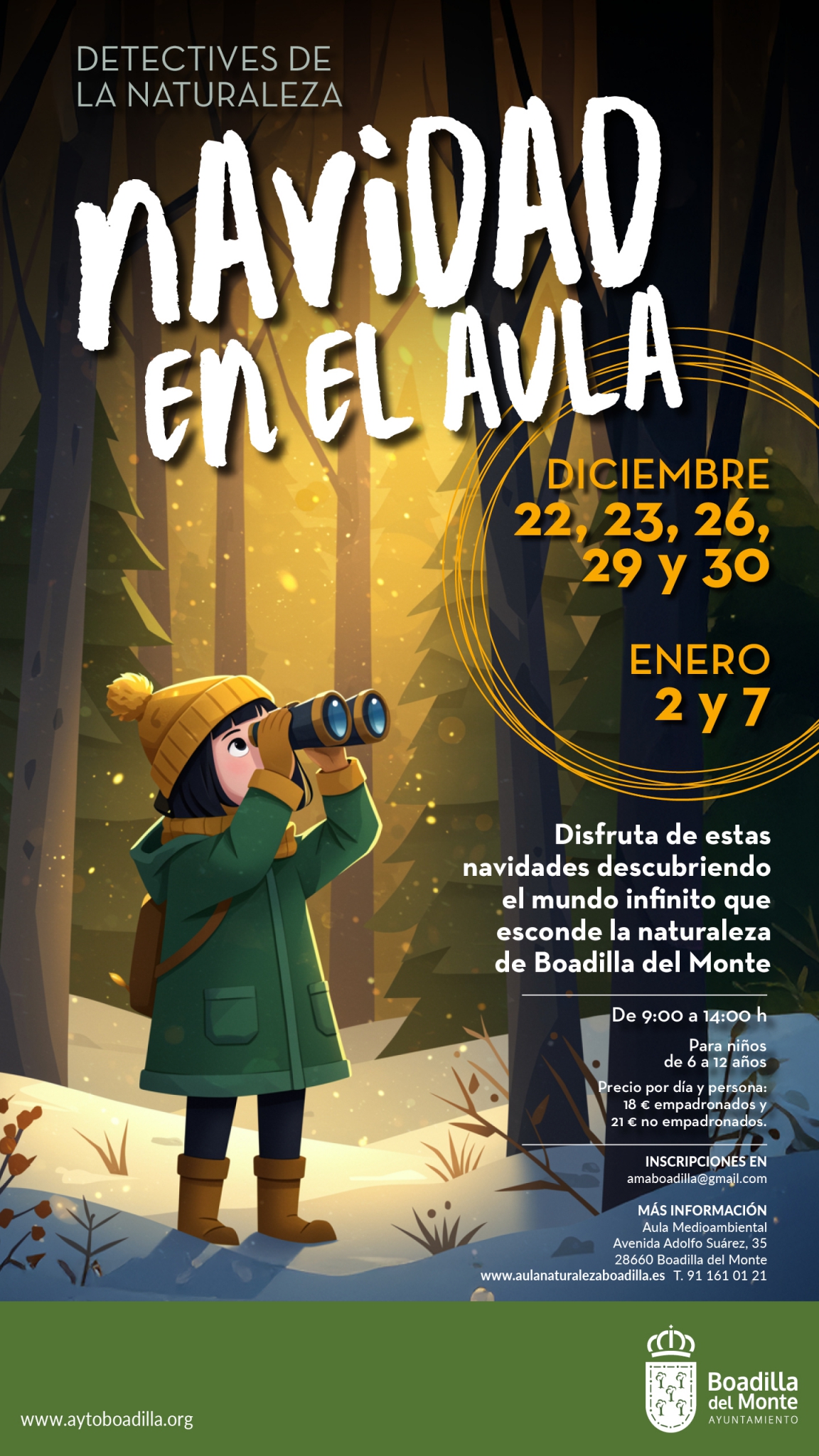 Navidad Boadilla 25_1080x1920